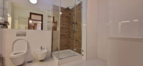 Shower, Toilet, Bathroom, bidet