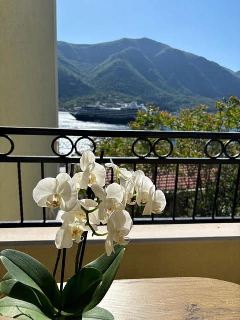 Modern Seaside Apartment with Balcony Tale Apartment Apartment in Dobrota