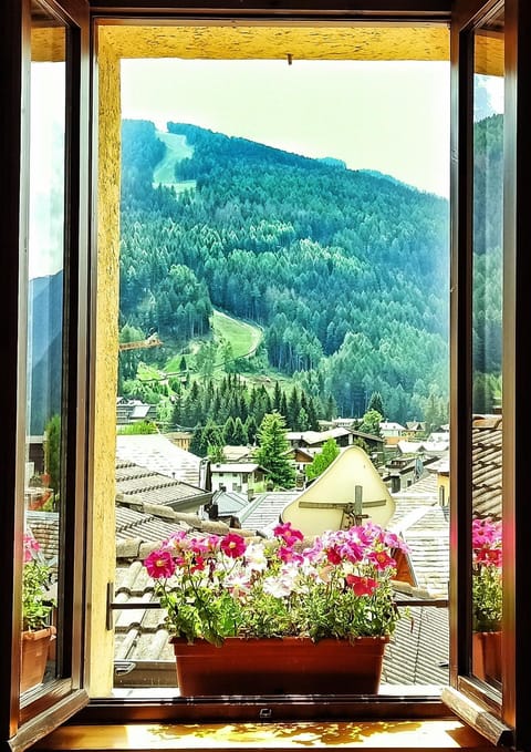 Spring, Natural landscape, Mountain view
