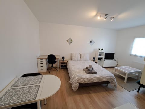 Bed, TV and multimedia, Living room, Photo of the whole room, Seating area, Bedroom, hair dresser