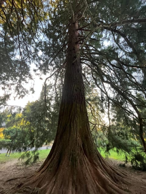 Altitude Location Montagne Apartment in Auvergne-Rhône-Alpes