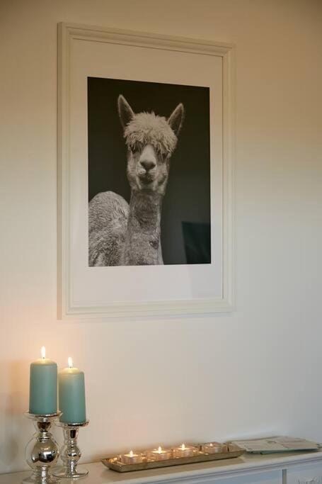 Gästesuite am Lindenhof Apartment in Ahrweiler