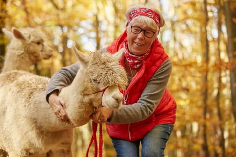 Gästesuite am Lindenhof Apartment in Ahrweiler