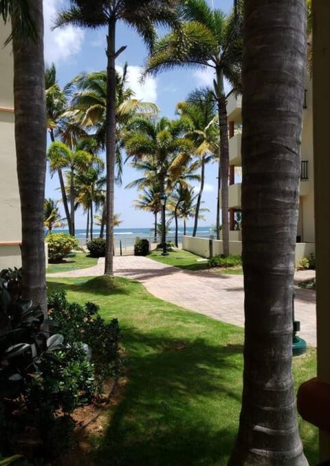 Natural landscape, Beach, Garden view, Sea view