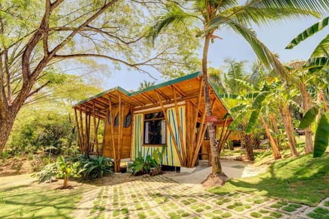 Natural landscape, Garden