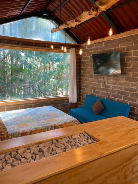 Communal lounge/ TV room, TV and multimedia, Bedroom