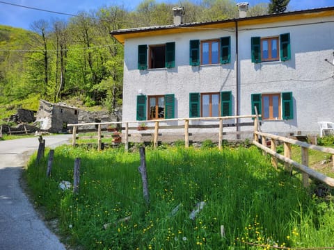Spring