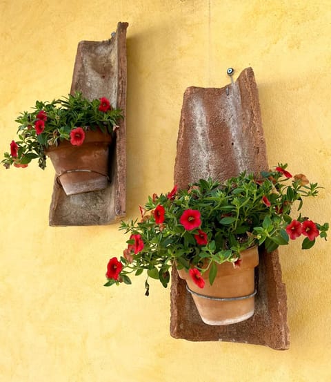 Il grillo House in Rosignano Marittimo