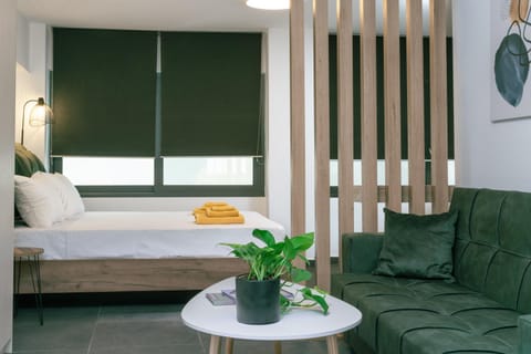 Bed, Living room, Photo of the whole room, Seating area, Bedroom