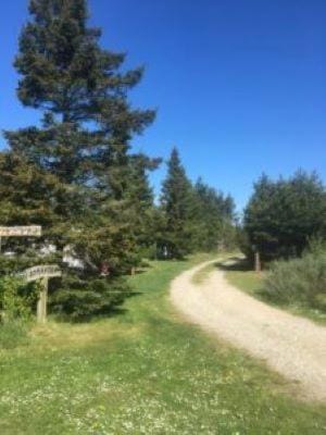 Spring, Natural landscape