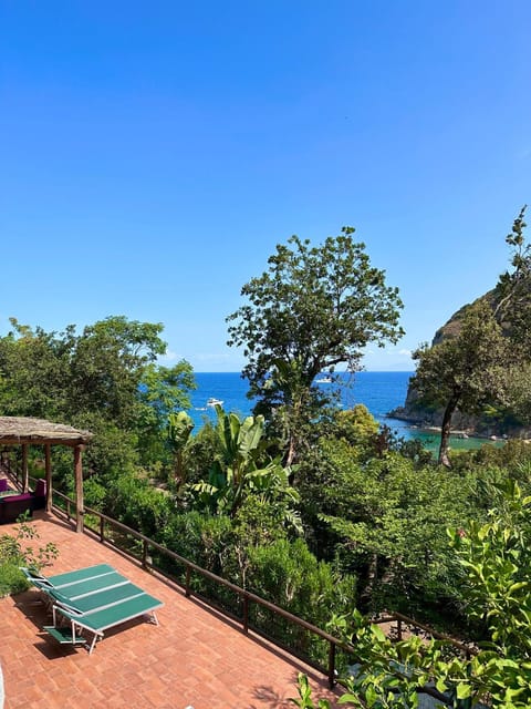 Balcony/Terrace, Sea view