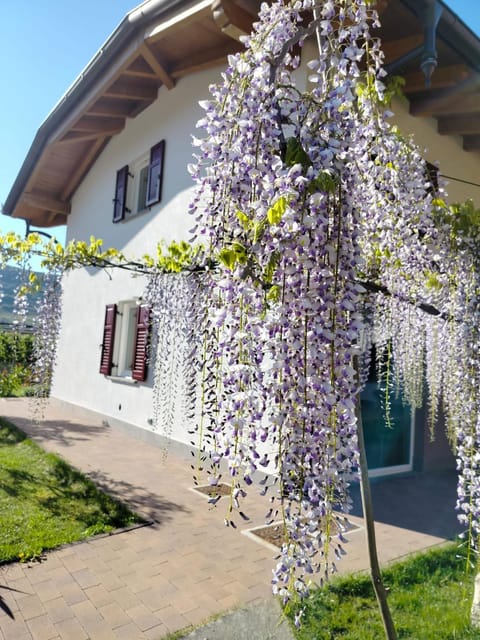Agritur Lavanda Farm Stay in Trentino-South Tyrol
