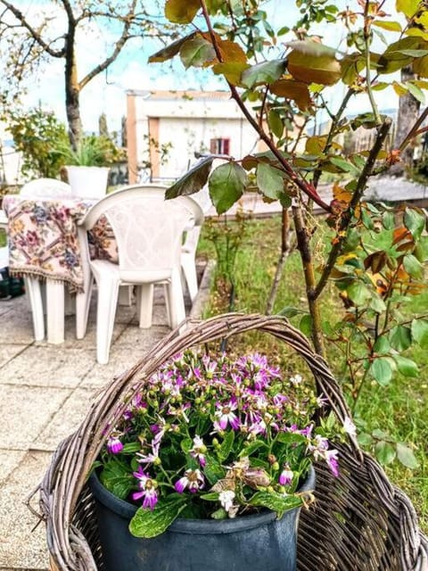Patio, Spring, Day, Garden, Garden view