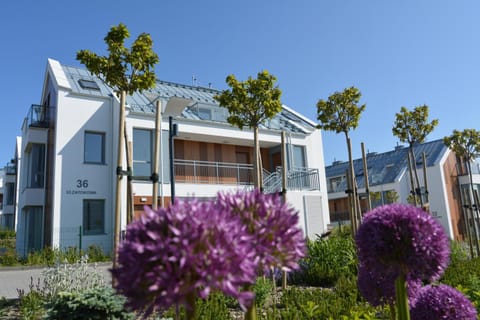 Property building, Spring, Day, Garden, Garden view