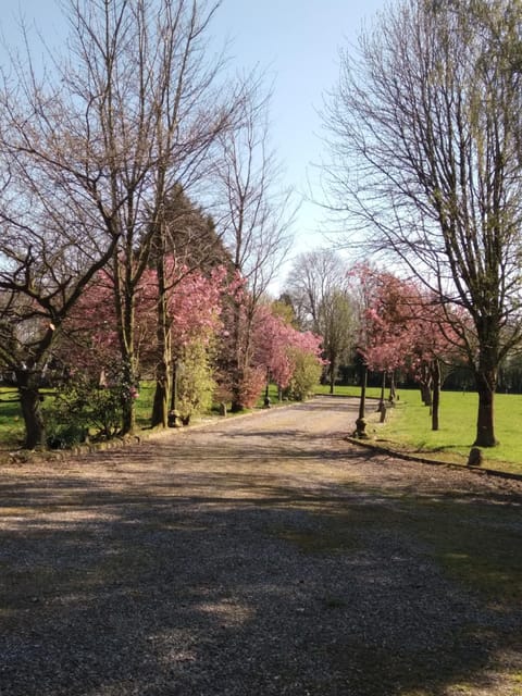 The Wandering Donkey Guest House Bed and Breakfast in Wicklow, Co. Wicklow, Ireland