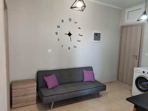 Living room, washing machine