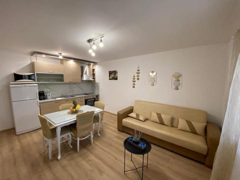 Kitchen or kitchenette, Living room, Seating area, minibar, pet friendly, stove