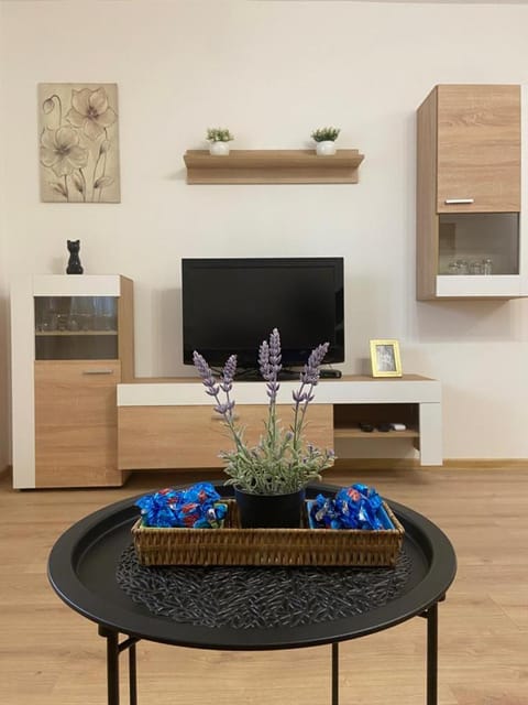 Communal lounge/ TV room, TV and multimedia