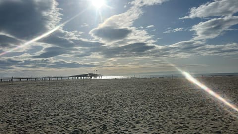 L'Orchidea_Holiday Apartment in Emilia-Romagna