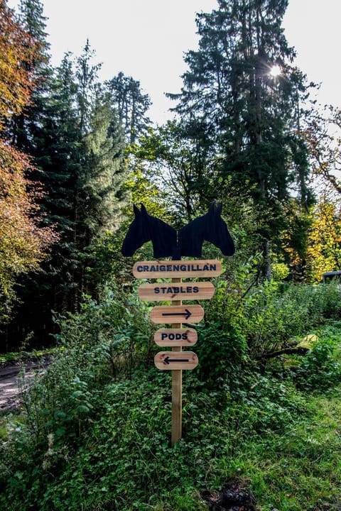 Glamping Pod 2 Magical Craigengillan Estate Chalet in England