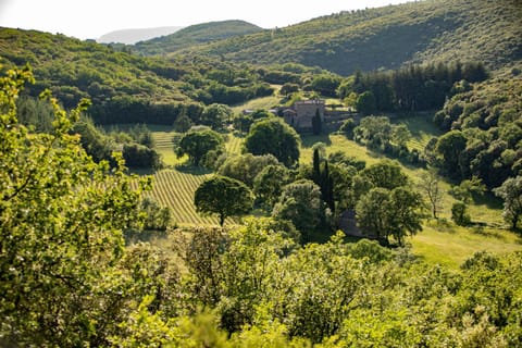 Natural landscape, Bird's eye view, Mountain view, Location