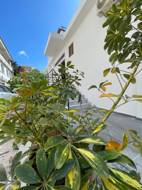 Property building, Garden