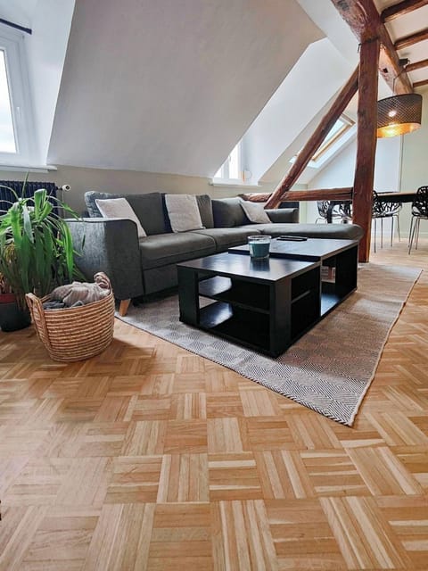 Appartement Le Baroque en duplex Apartment in Mulhouse