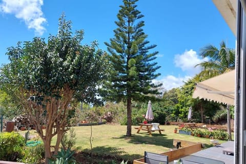 Day, Natural landscape, Garden, Garden view