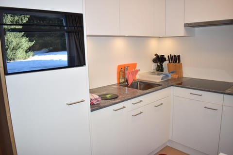 Seegarten A 110 Wy Apartment in Lantsch/Lenz