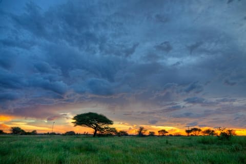 Natural landscape, Sunset