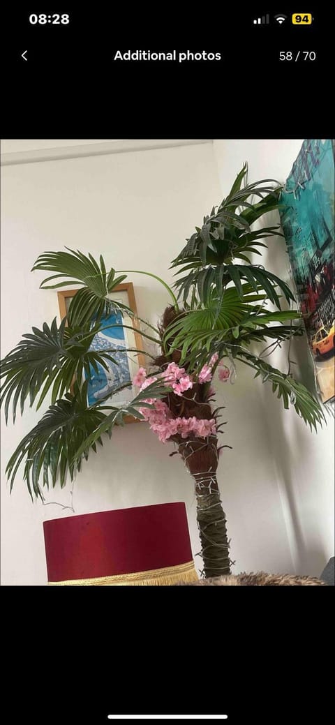 Harbour View Apartment in Saint Ives