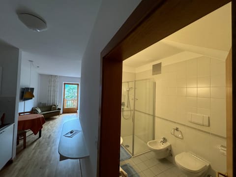 Shower, Toilet, Bathroom, TV and multimedia, bidet, towels