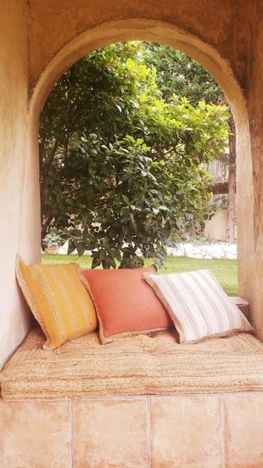 Patio, Garden