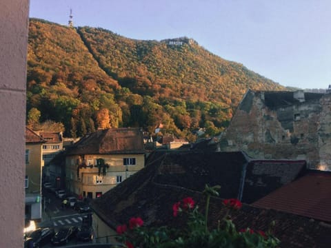 Natural landscape, View (from property/room), Mountain view
