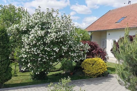 Property building, Spring, Garden