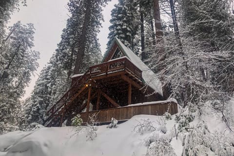 Peaceful Pine Getaway House in Dorrington