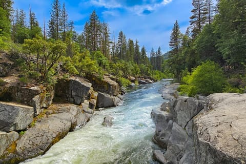 Peaceful Pine Getaway House in Dorrington