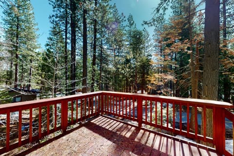 Peaceful Pine Getaway House in Dorrington