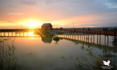 Natural landscape, Lake view, Sunset