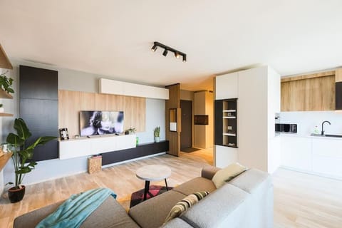 Luxury Apt. Near River & Parking Apartment in Timisoara