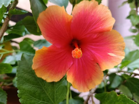 Villa Milena Costa Rei VISTA MARE Villa in Costa Rei