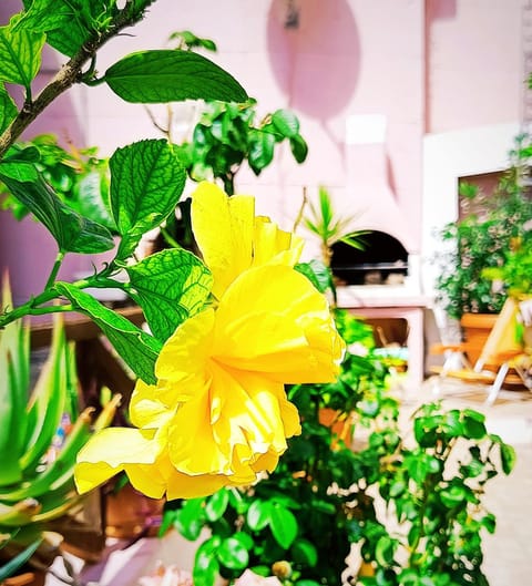 Villa Milena Costa Rei VISTA MARE Villa in Costa Rei