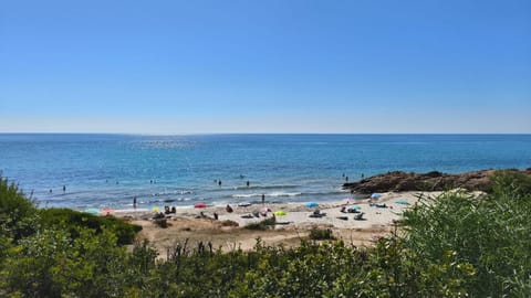 Natural landscape, Beach, Beach