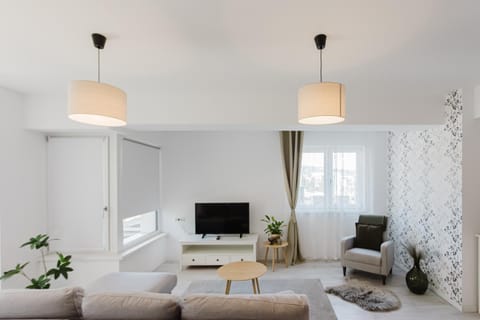 City Center Accommodation 111 Apartment in Timiș County