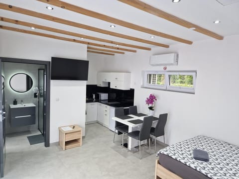 Bed, Bathroom, TV and multimedia, Kitchen or kitchenette, Photo of the whole room, Dining area, Bedroom, oven, stove, air conditioner