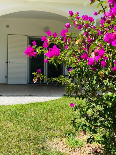 Property building, Facade/entrance, Garden, Garden view