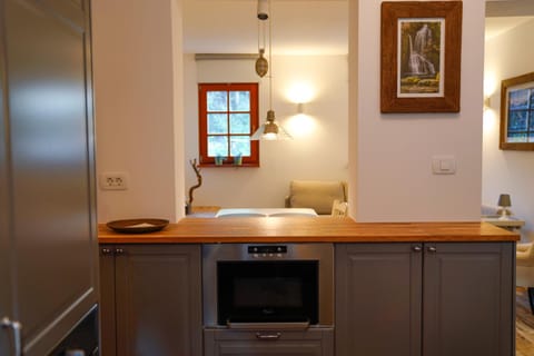 Kitchen or kitchenette, Dining area, pet friendly