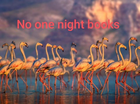 Victorian Woodstock Luxury tent in Cape Town