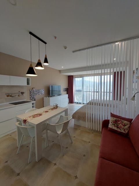 Kitchen or kitchenette, Living room, Photo of the whole room, Seating area, Dining area