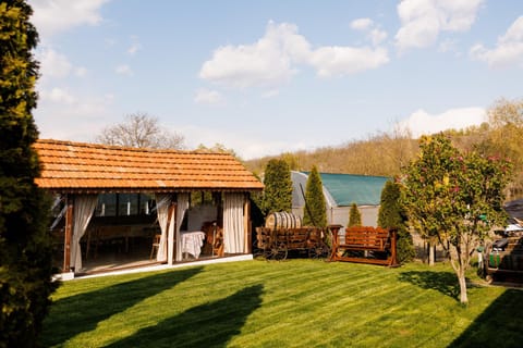 Spring, Day, Natural landscape, Garden, Garden view